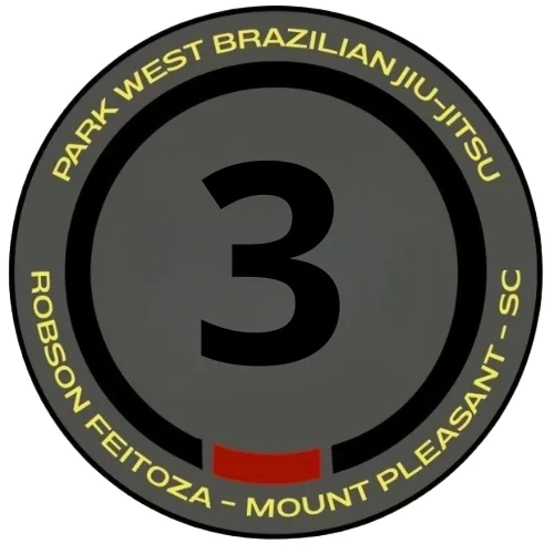 Park West BJJ academy photo