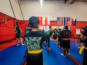 Raja Academy of Martial Arts academy photo