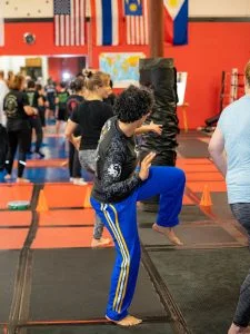 Raja Academy of Martial Arts academy photo