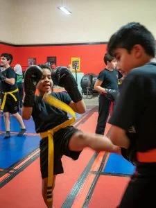 Raja Academy of Martial Arts academy photo