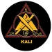 Raja Academy of Martial Arts academy photo