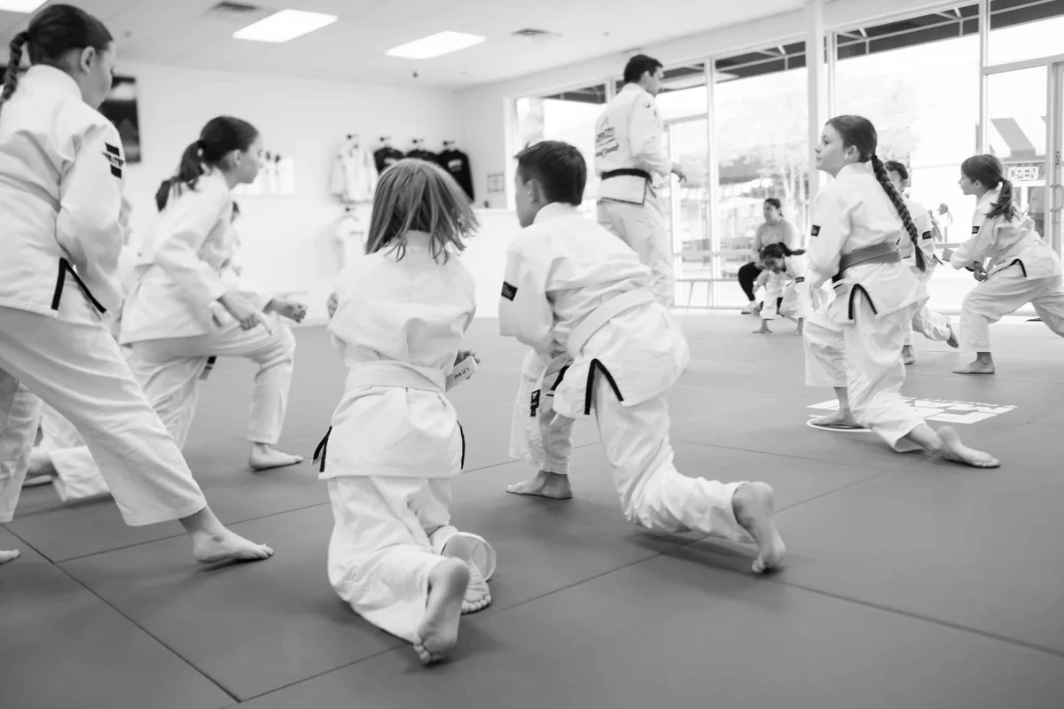 Senzo Jiu-Jitsu Academy academy photo