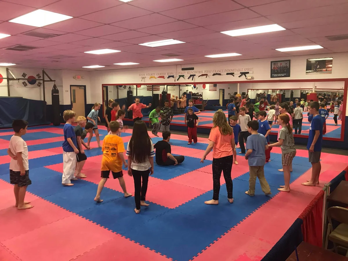Southern Martial Arts visual