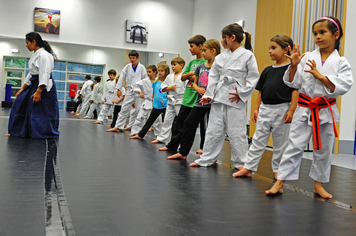 Southern Martial Arts academy photo