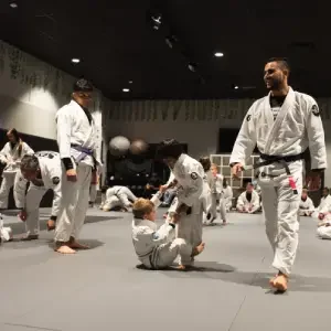 TAP World Class Brazilian Jiu-Jitsu academy photo