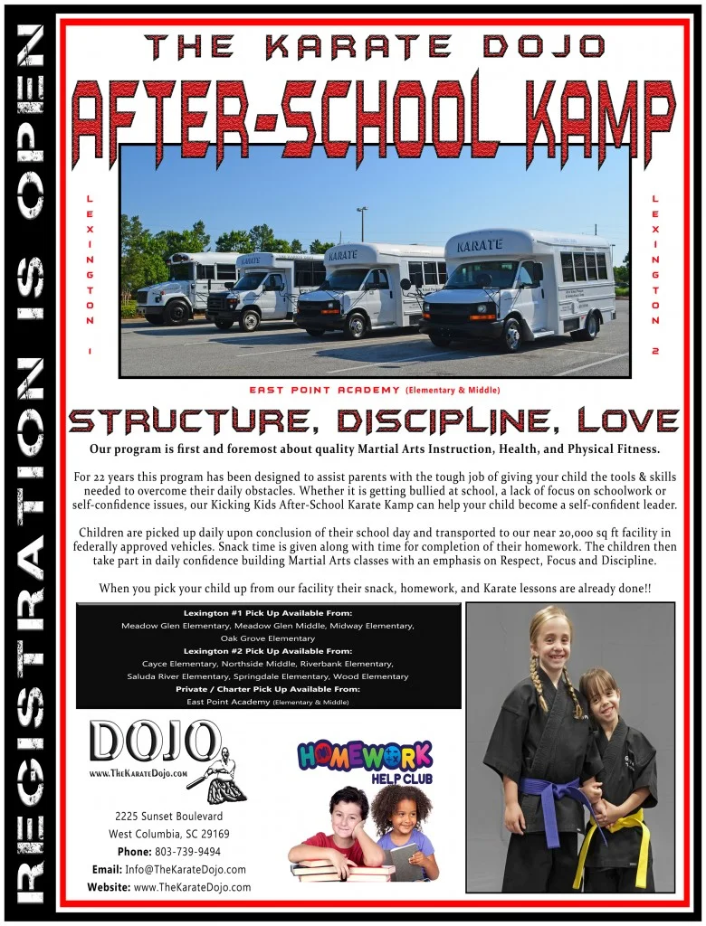 The Karate Dojo academy photo