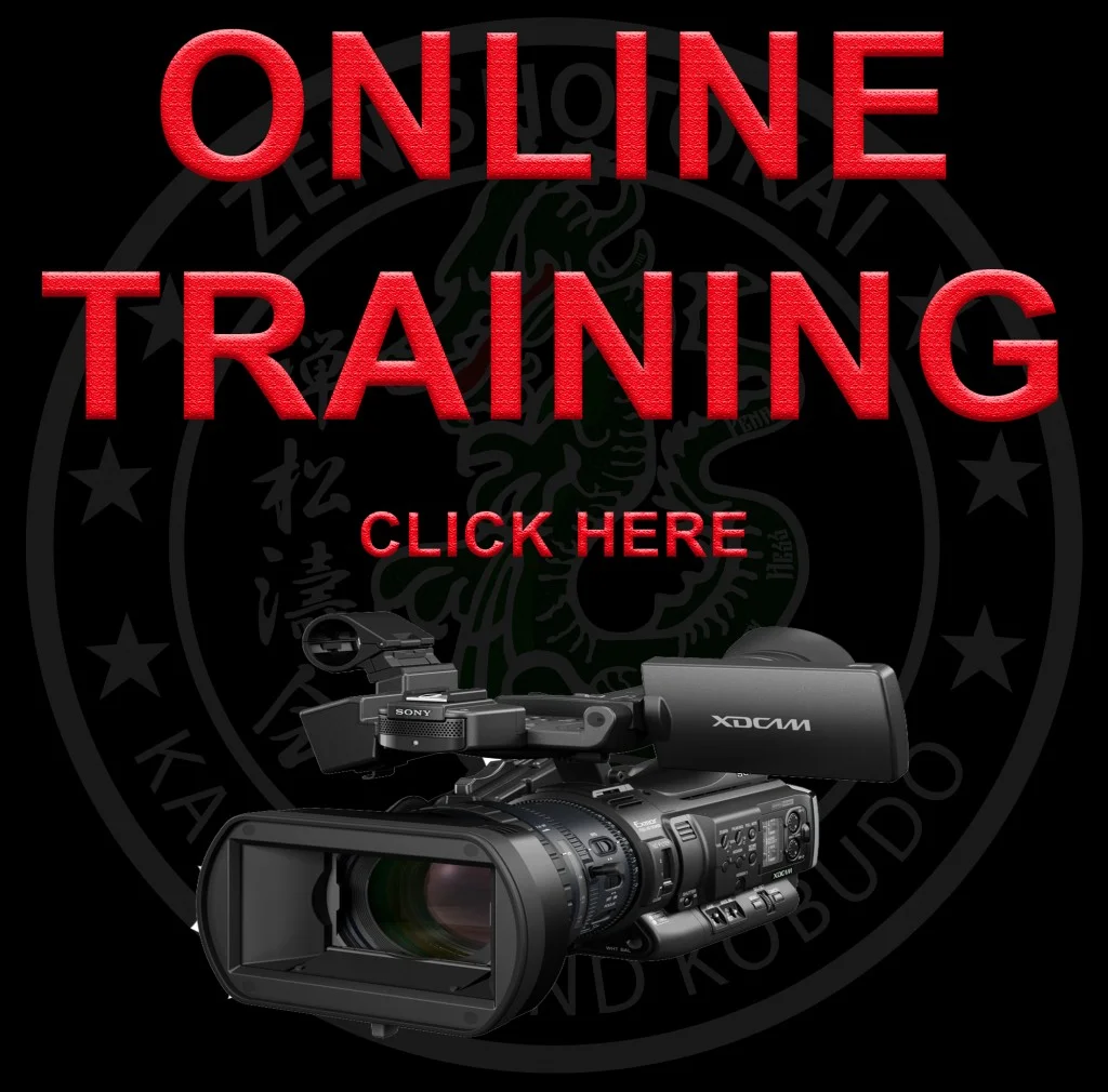 The Karate Dojo academy photo