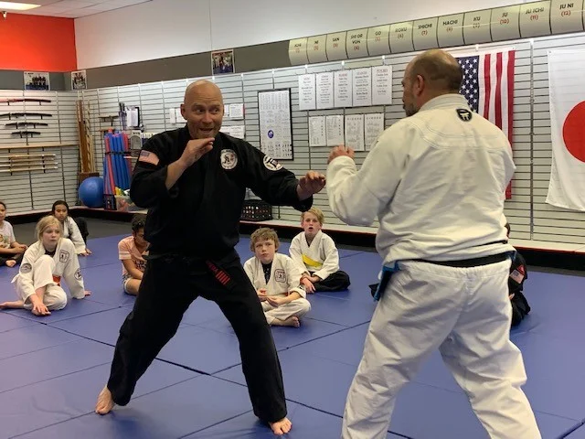 Bujin Ki Ryu JuJitsu academy photo