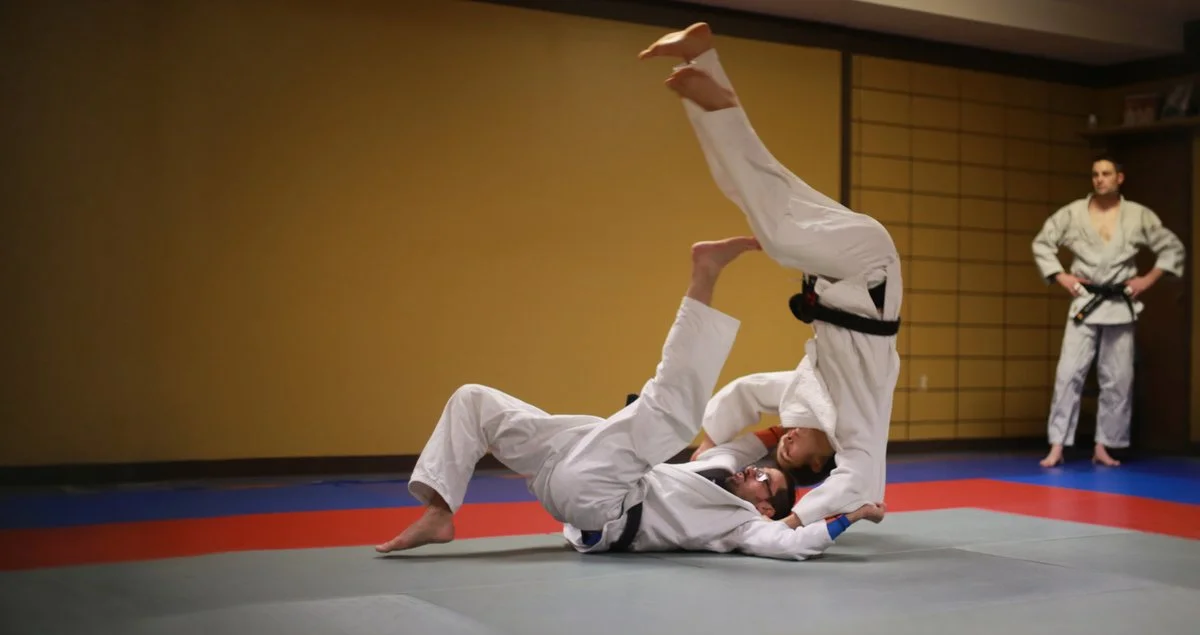 Dakota Budokan visual