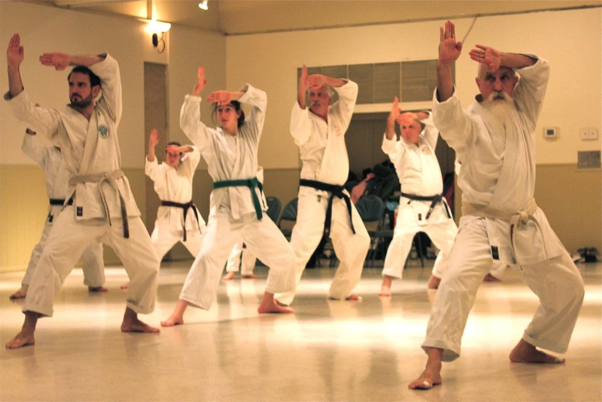 Shotokan Karate Center academy photo