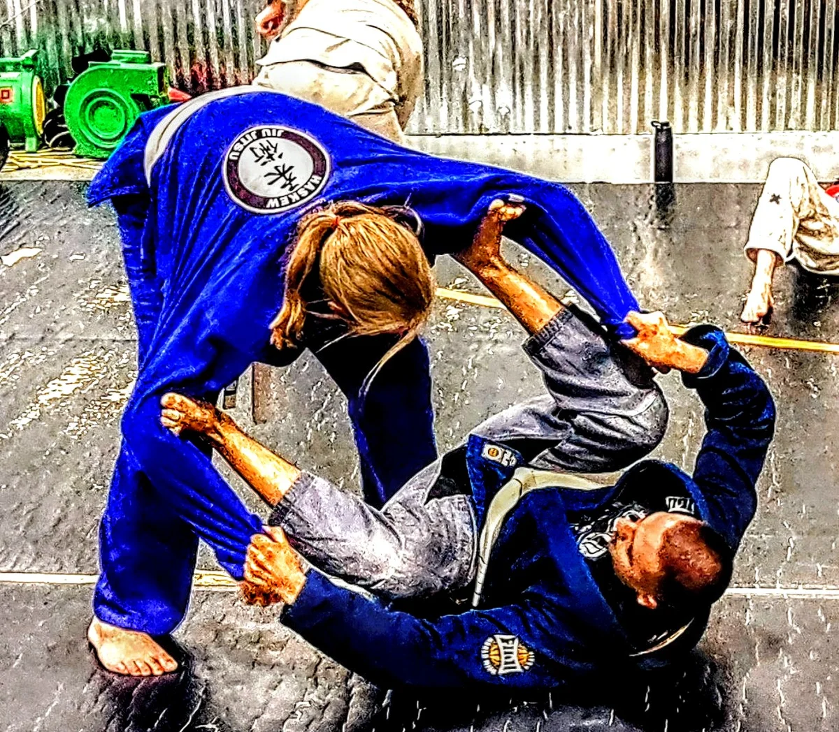 Blue Ridge American Jiu Jitsu facility image