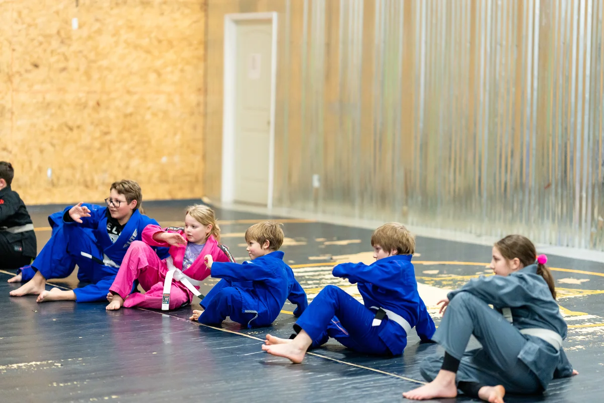 Blue Ridge American Jiu Jitsu facility image