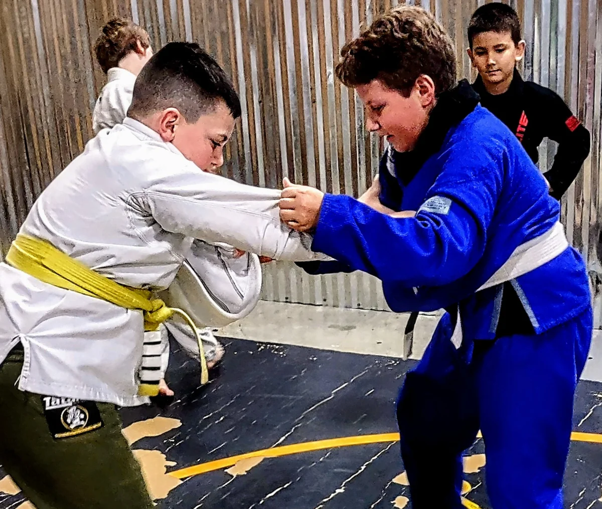 Blue Ridge American Jiu Jitsu facility image