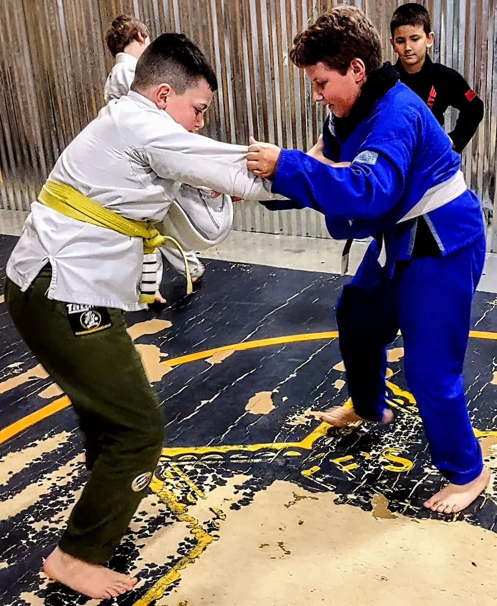 Blue Ridge American Jiu Jitsu facility image