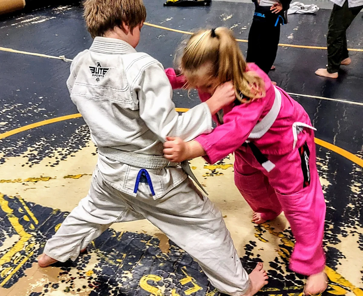 Blue Ridge American Jiu Jitsu facility image