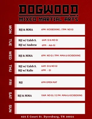 Dogwood MMA academy photo