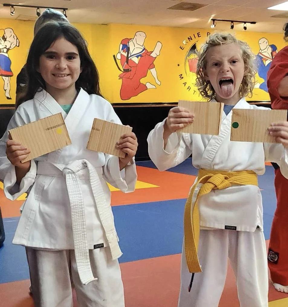 Ernie Reyes' World Martial Arts (Gallatin, TN) facility image