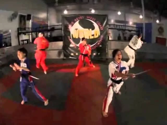 Ernie Reyes' World Martial Arts (Gallatin, TN) facility image