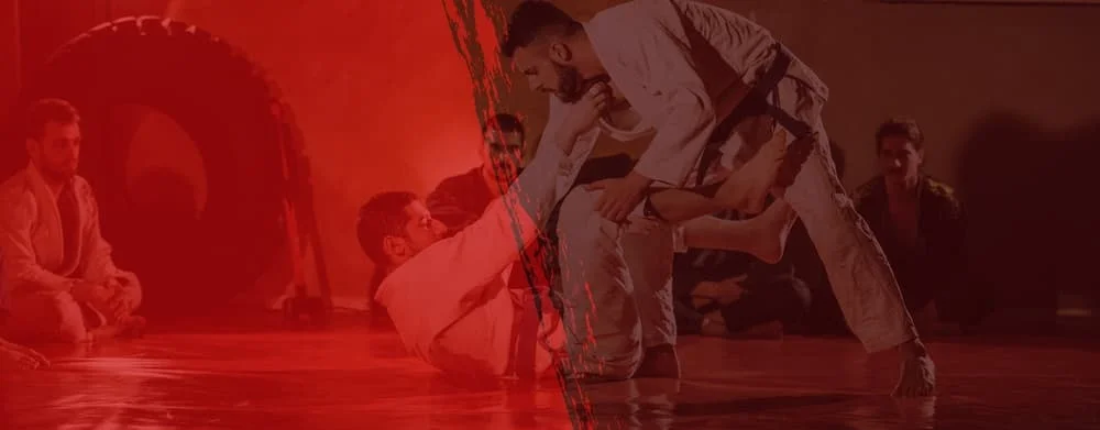 GRACIE BARRA visual