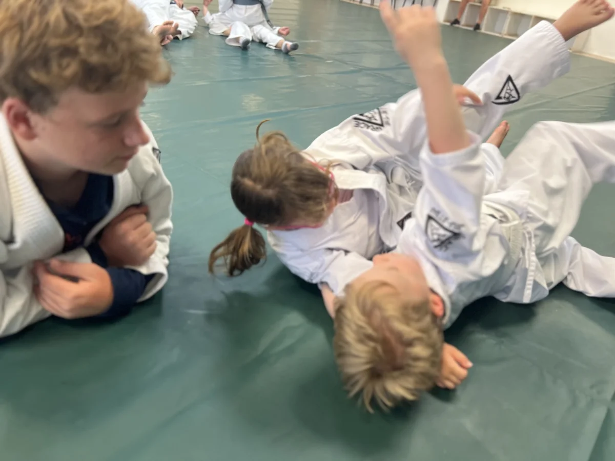 Gracie Jiu Jitsu Goodlettsville, LLC academy photo
