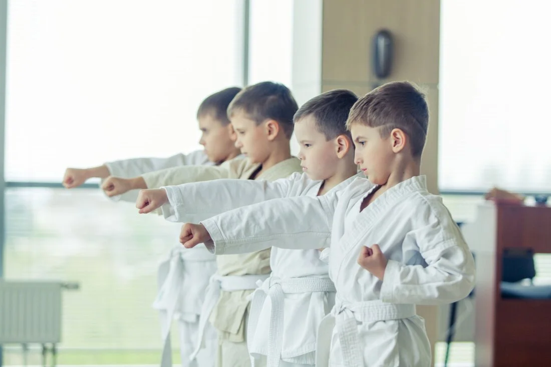 Johnson City Martial Arts Academy facility image