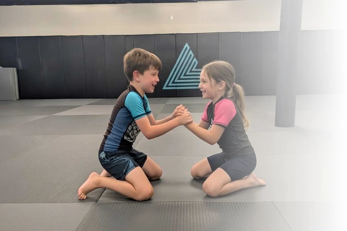 Lógica Jiu-Jitsu visual