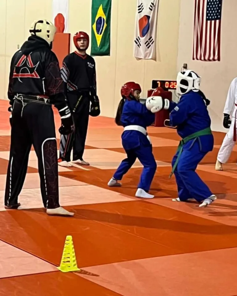Mid American Sport Karate & Mixed Martial Arts facility image