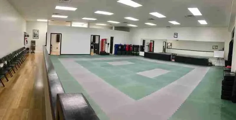New Visions Dojo academy logo