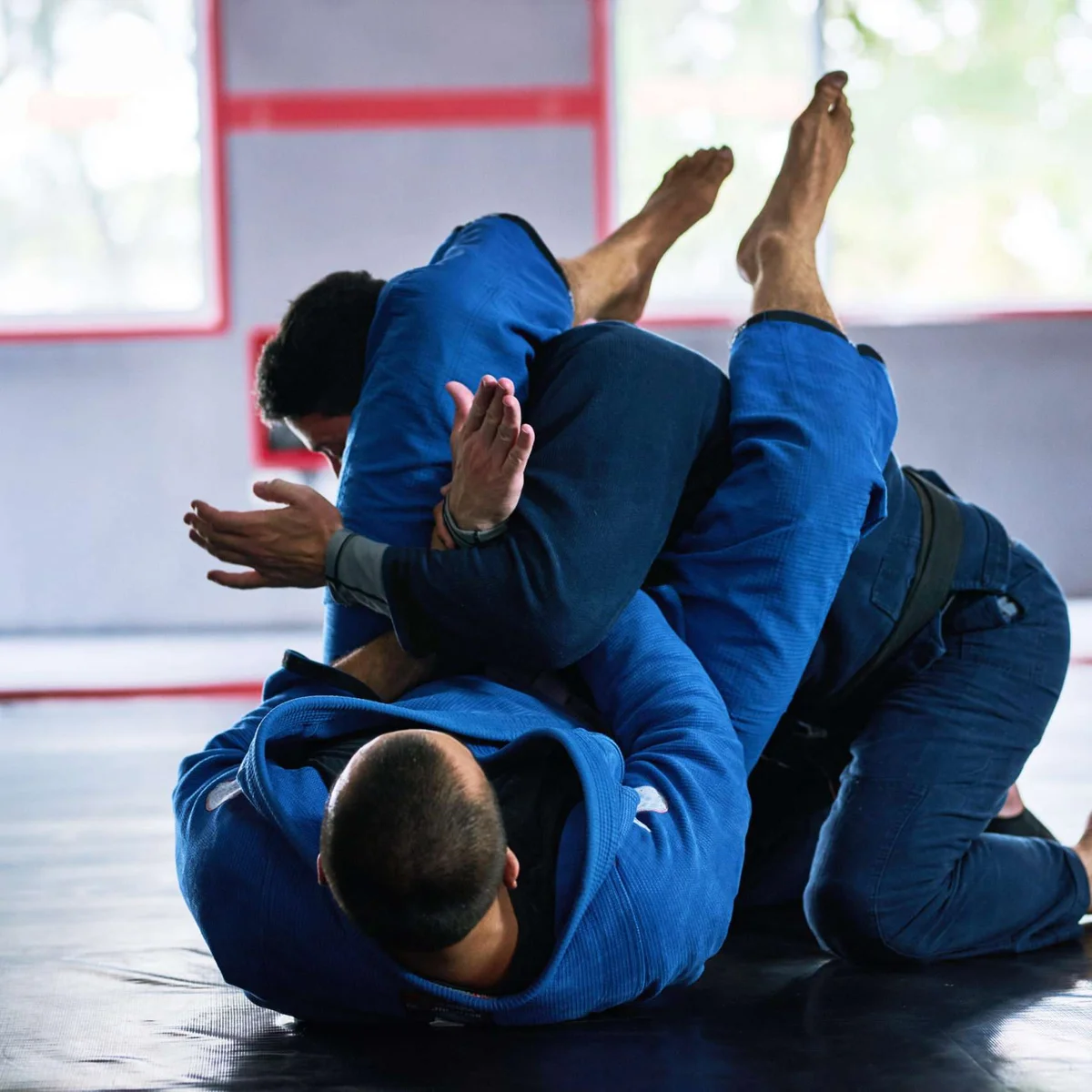 Paris Gracie Jiu Jitsu Academy academy photo