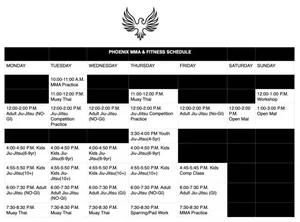 Phoenix MMA & Fitness facility image
