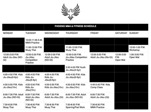 Phoenix MMA & Fitness academy logo