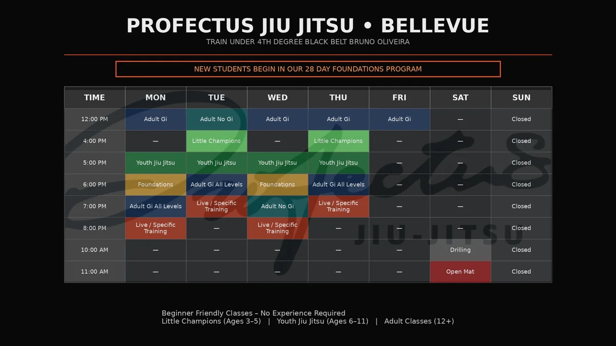 Profectus Jiu-Jitsu Bellevue facility image