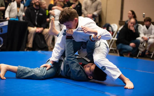 Profectus Jiu-Jitsu Wilco (PROFECTUS lebanon) facility image
