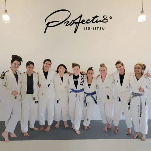 Profectus Jiu-Jitsu Wilco (PROFECTUS lebanon) facility image