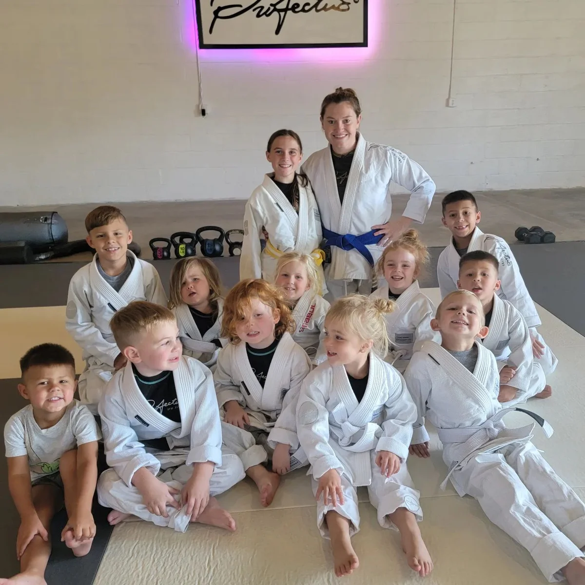 Profectus Jiu-Jitsu Wilco (PROFECTUS lebanon) facility image