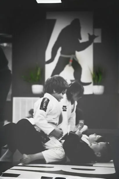 Signal Mountain Jiu Jitsu visual