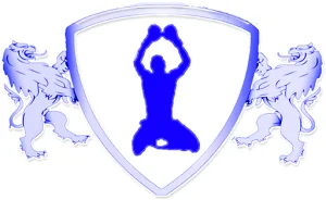 SwiftKick MMA & Boxing academy logo