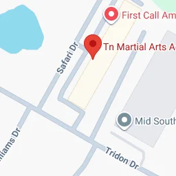 Tennessee Martial Arts Academy academy logo