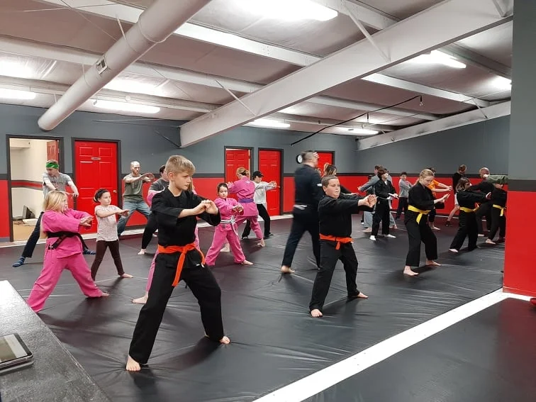 Wolves' Den Mixed Martial Arts academy photo