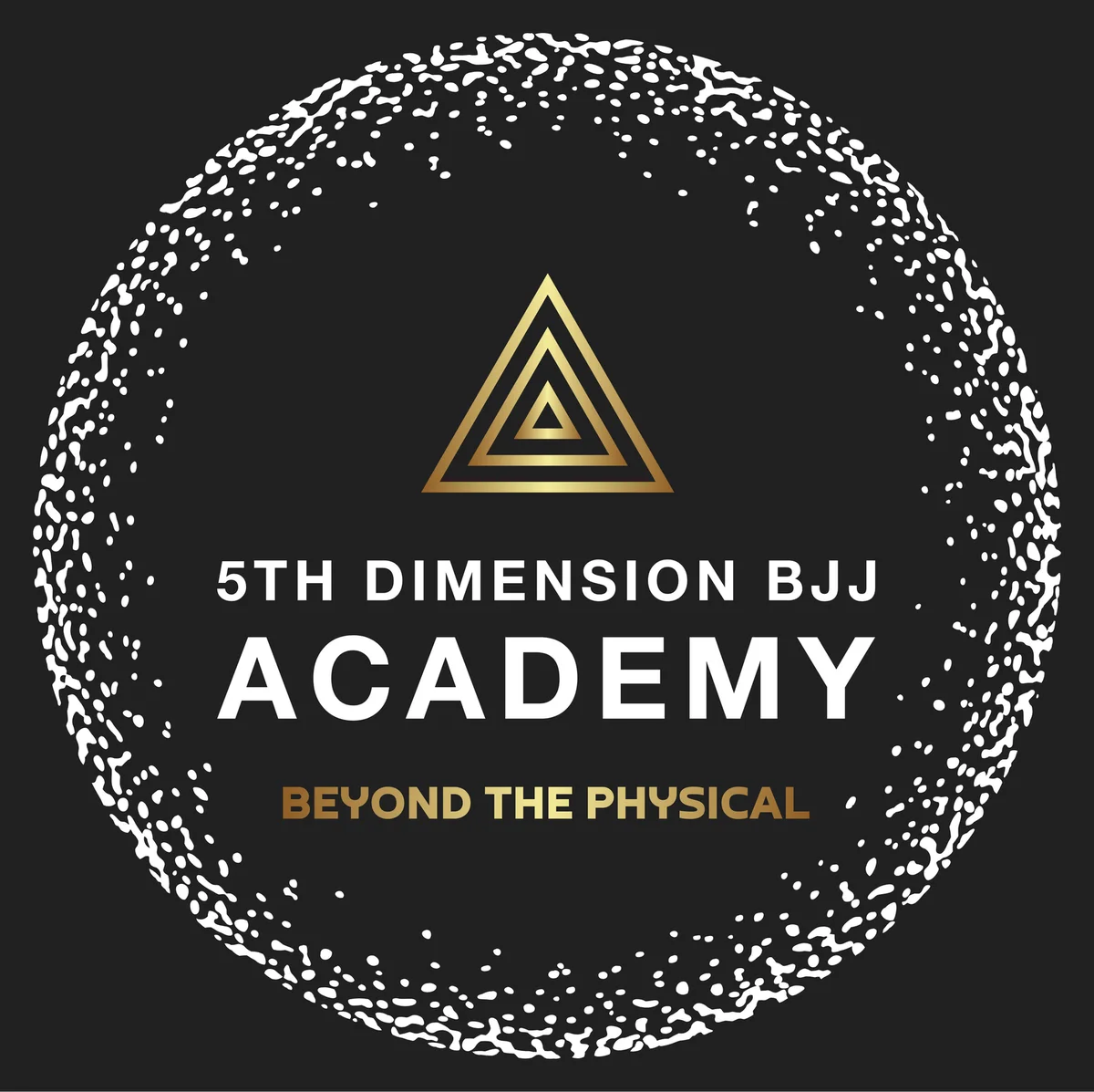 5th Dimension BJJ Academy academy photo