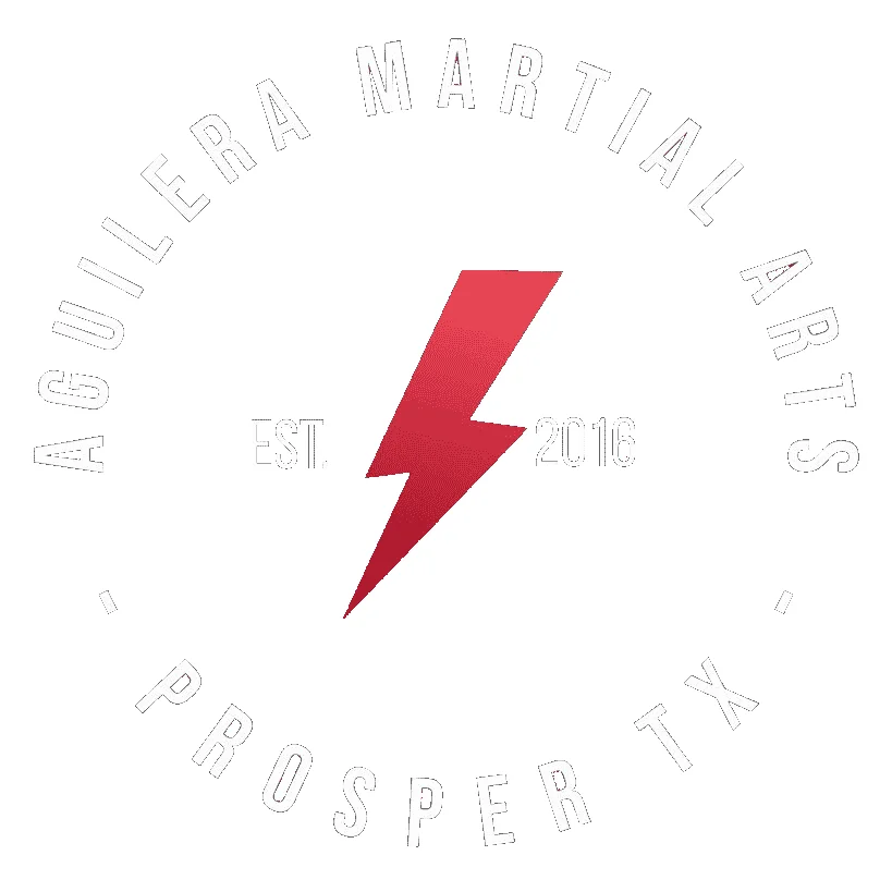 Aguilera BJJ Studio academy photo
