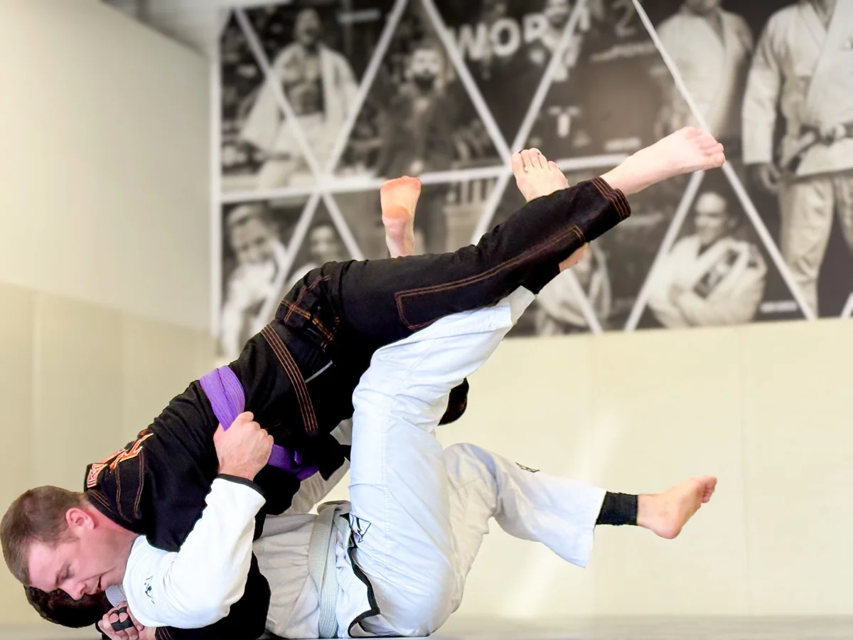 Alliance BJJ Houston academy logo