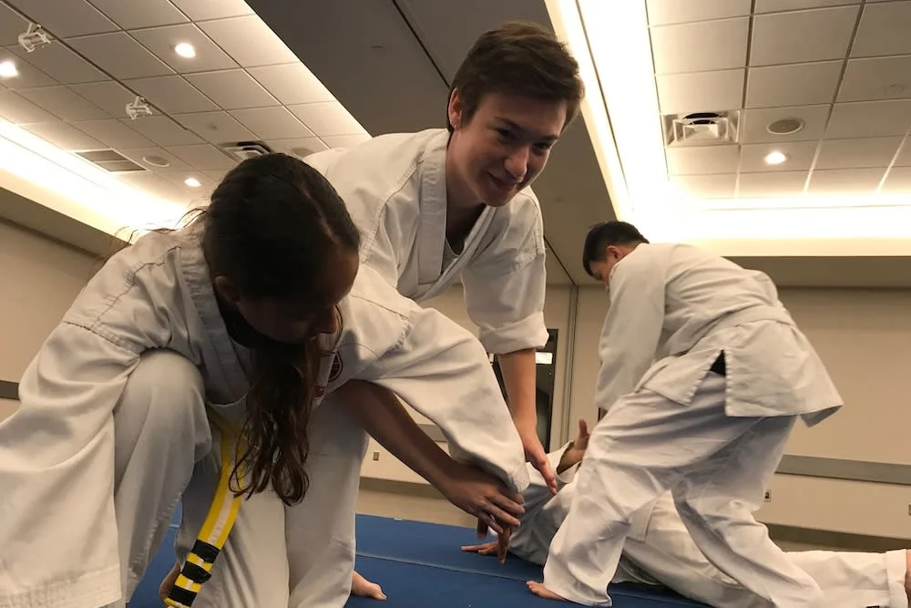 American Defensive Arts Academy visual