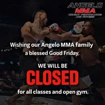 Angelo Mixed Martial Arts and fitness facility image