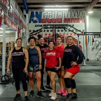 Angelo Mixed Martial Arts and fitness facility image