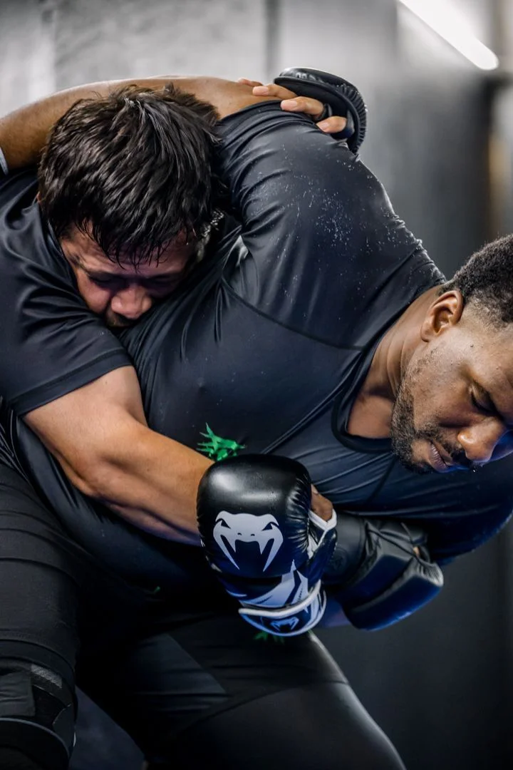 Artistry BJJ facility image
