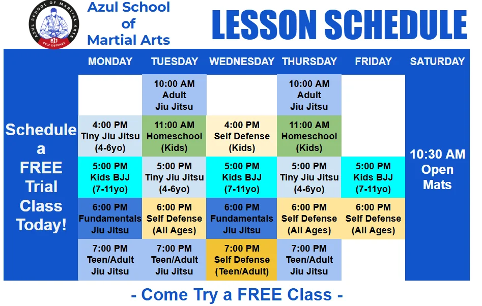 Azul School of Martial Arts academy photo