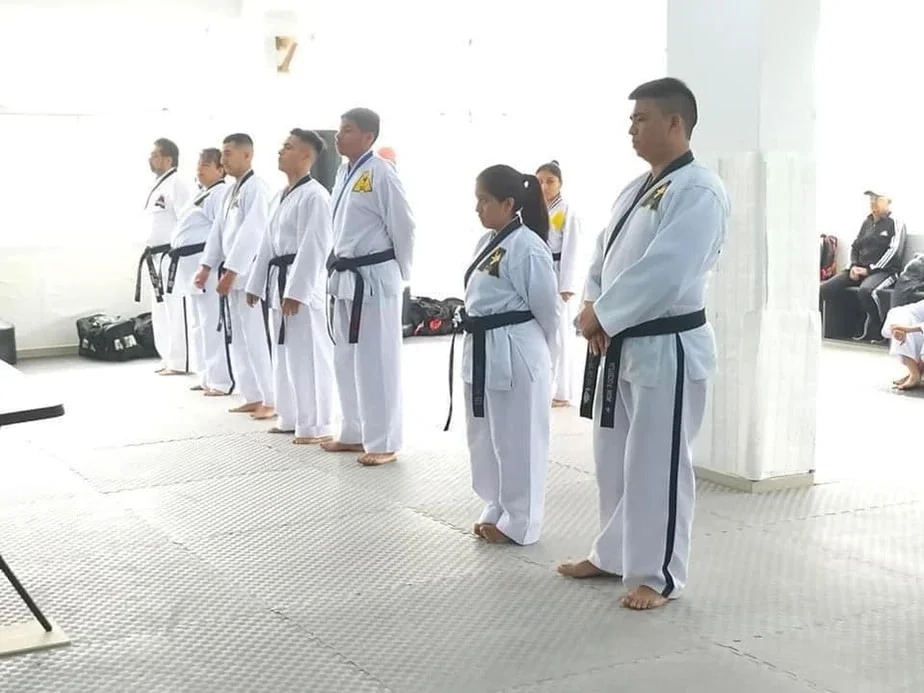 Baytown Black Belt Academy academy logo