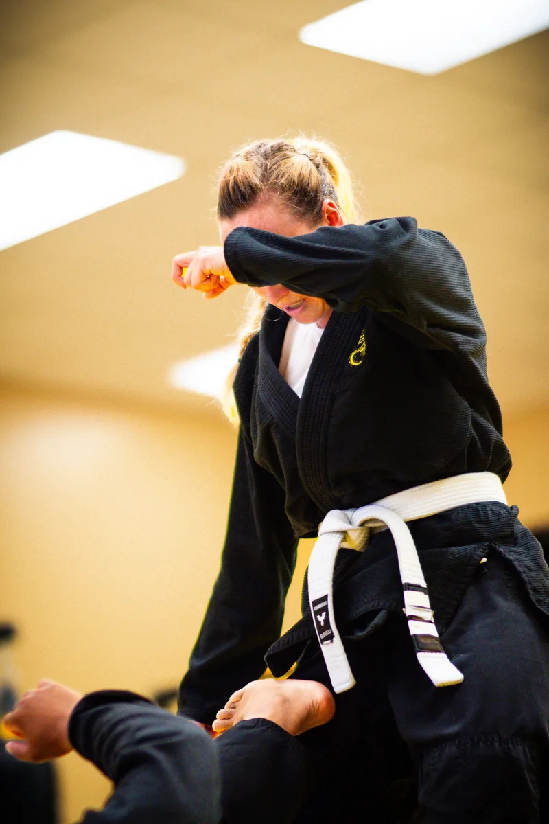Be Like Water BJJ MMA facility image