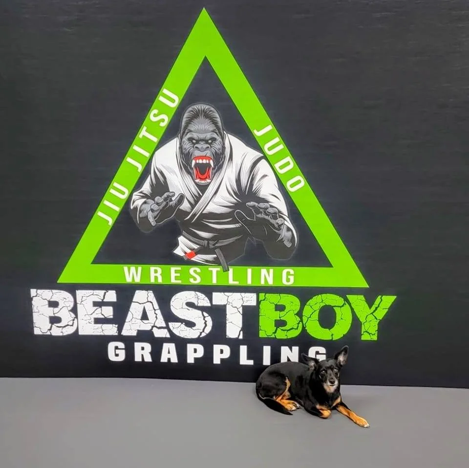 Beast Boy Grappling facility image